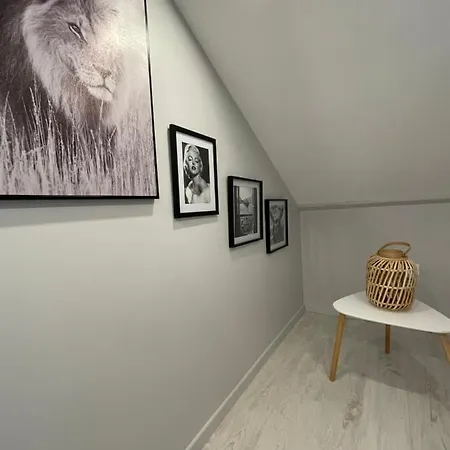 Superbe Cœur Apartment